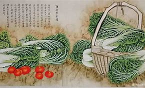 聚有财贷款app下载安装(聚有财贷款app下载安装官网)