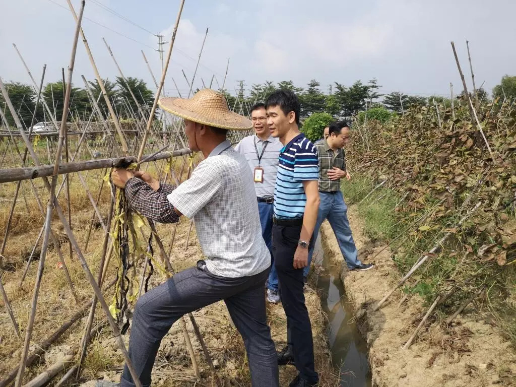 香蕉应急影响征信吗(香蕉应急贷款上征信吗)