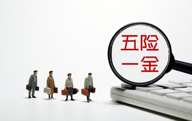 分享金是哪个公司旗下(分享金是哪个公司旗下的)