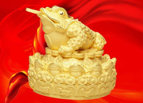 金蟾蜍怎么样有人用过吗的简单介绍