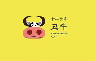 六六服务费是什么(服务费6个点是多少)