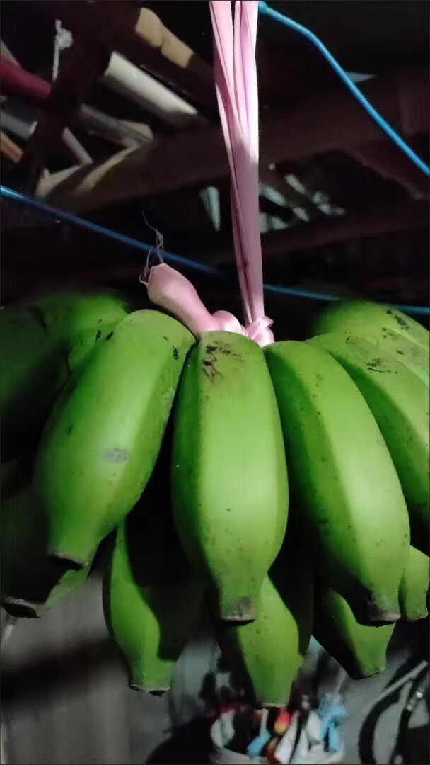 香蕉应急怎么样有人用过吗的简单介绍