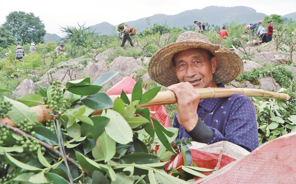 翡翠金庄服务费是什么(翡翠庄园280平户型图)
