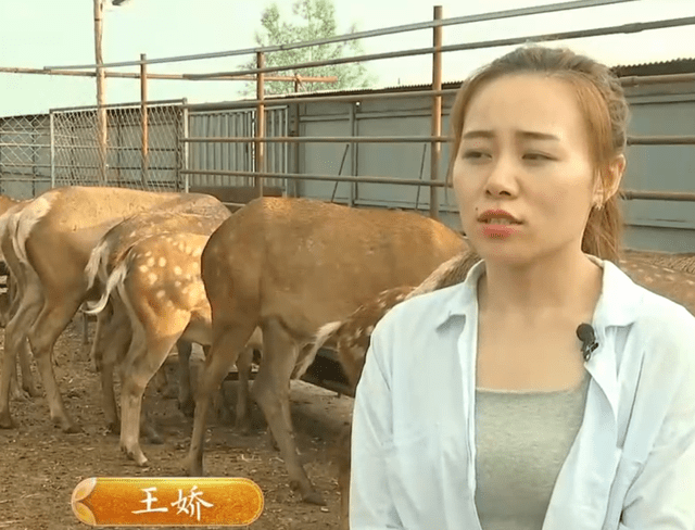 鹿鹿优选悦月芬期和是一个平台吗(雀巢怡养奶粉袋装400克16袋怎么样)