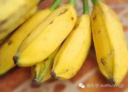 香蕉应急官网(香蕉cnapp)