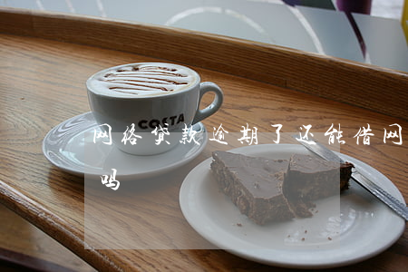 有信借逾期后可以不还吗(有信借贷)