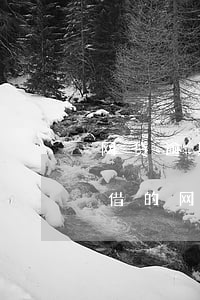 有信借逾期后可以不还吗(有信借贷)