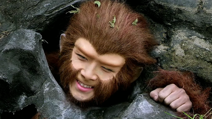 金蝉子服务费是什么(金蝉子客服电话是多少) 金蝉子服务费是什么(金蝉子客服电话是多少)