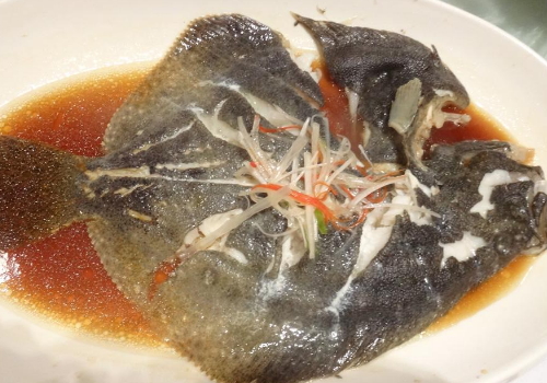 多宝鱼正规吗(多宝鱼批发价格是多少?)