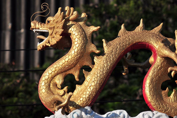 龙来借是国内的吗(龙来服装)