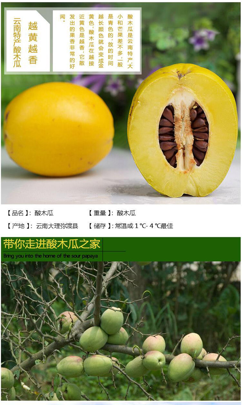 木瓜优品如何报案(木瓜贷是什么平台)