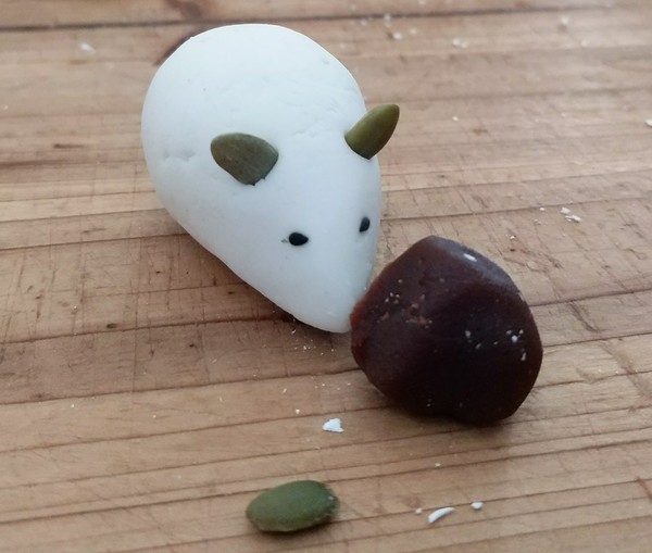 小白鼠注册(小白鼠销路)