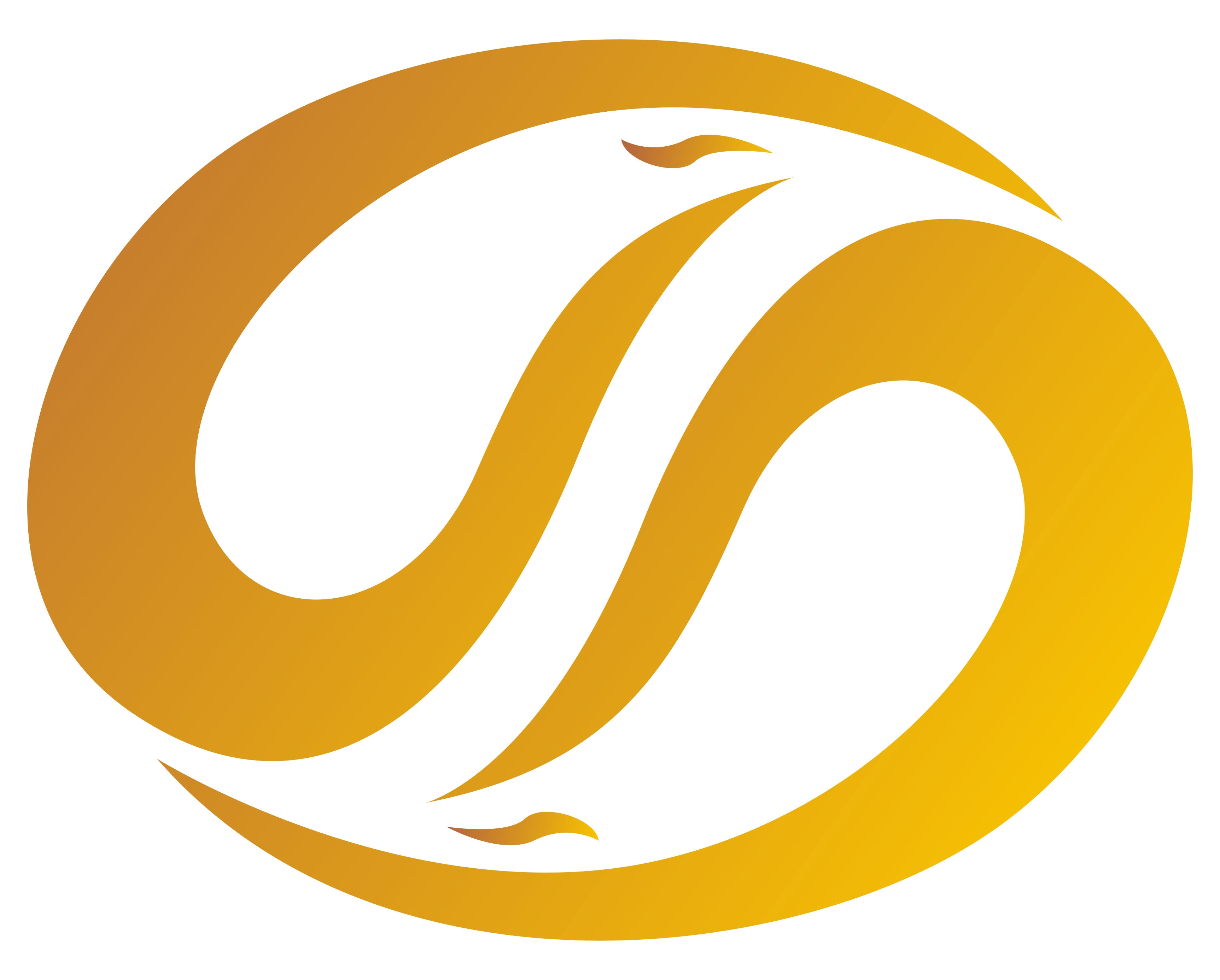 关于六六分期属于哪个公司的信息