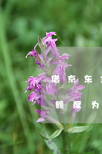 好易宝借款不还会怎么样(好易借最新黑猫投诉)